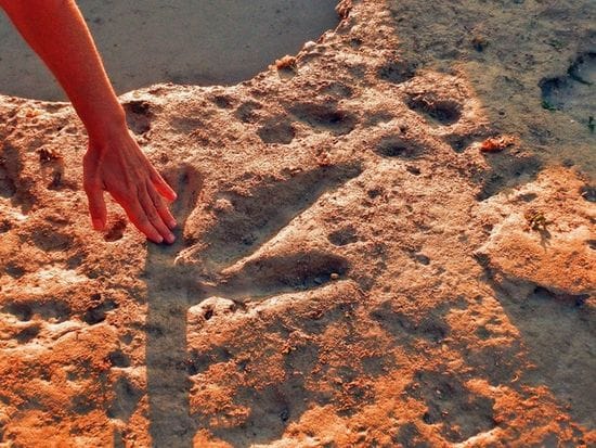Dinosaur Tracks adding to the tourism potential of Broome